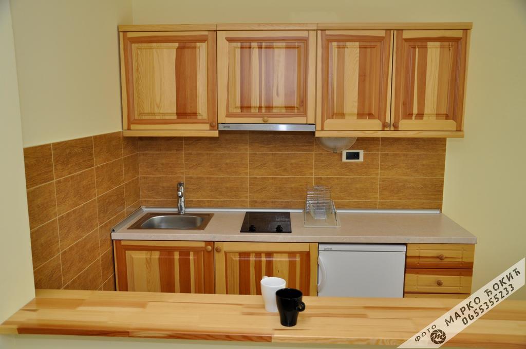 Apartmani Vidic ズラティボール エクステリア 写真