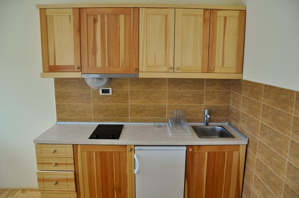 Apartmani Vidic ズラティボール エクステリア 写真